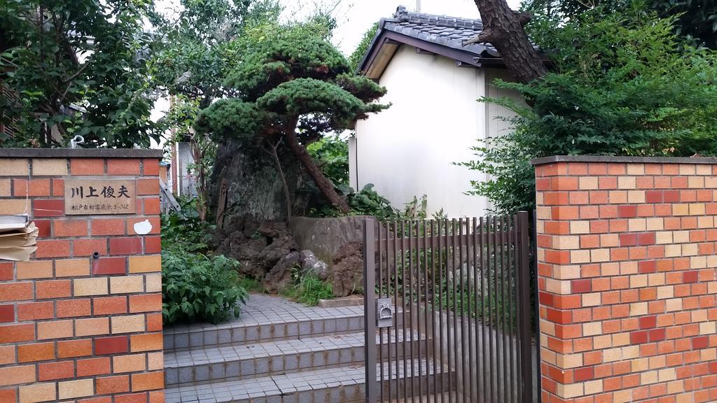 "Cherry House" Is Direct To Narita,Haneda Ap, Disney, Asakusa, Skytree Tower, Tokyo Мацудо Екстериор снимка