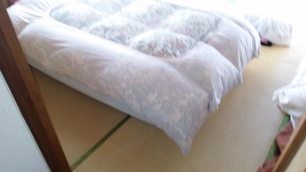 "Cherry House" Is Direct To Narita,Haneda Ap, Disney, Asakusa, Skytree Tower, Tokyo Мацудо Екстериор снимка