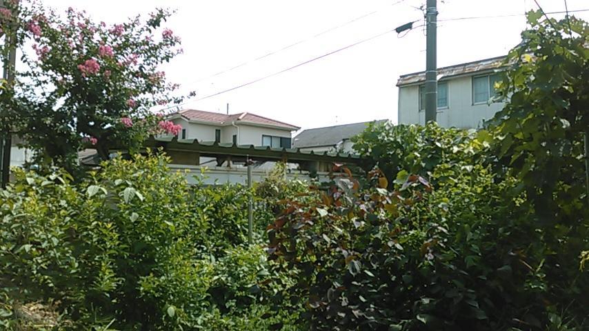 "Cherry House" Is Direct To Narita,Haneda Ap, Disney, Asakusa, Skytree Tower, Tokyo Мацудо Екстериор снимка